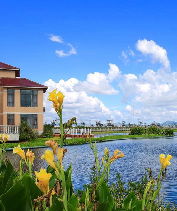 �ò�(�й�)�������ܿƼ��ɷ����޹�˾��վ